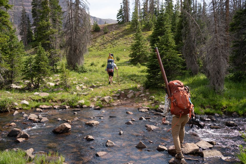 How Much Does Trail Navigation, Water Filtration & Safety Really Cost in 2026? Budget & Gear