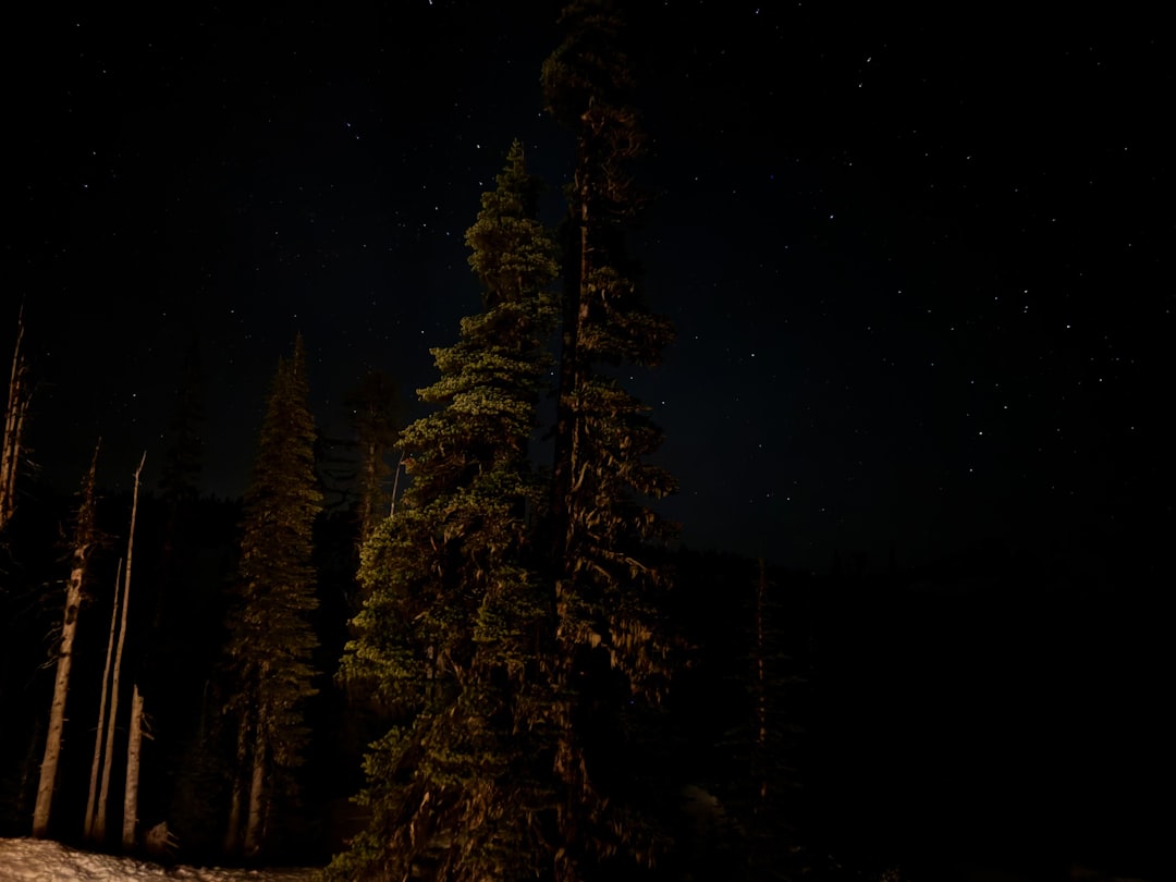 The Best Tools & Supplies I Actually Use for Shelters, Tarps & Three-Season Tents