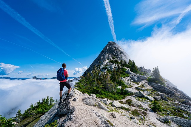 Troubleshooting Shelters, Tarps & Three-Season Tents : Diagnosing and Fixing Problems